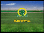 农资贝博官方入口-奥瑞金种业